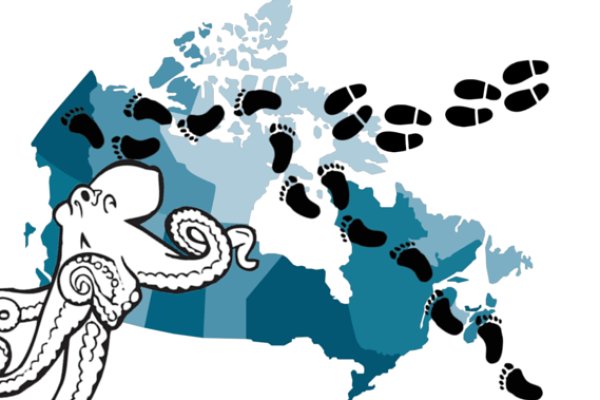 Кракен даркнет ссылка