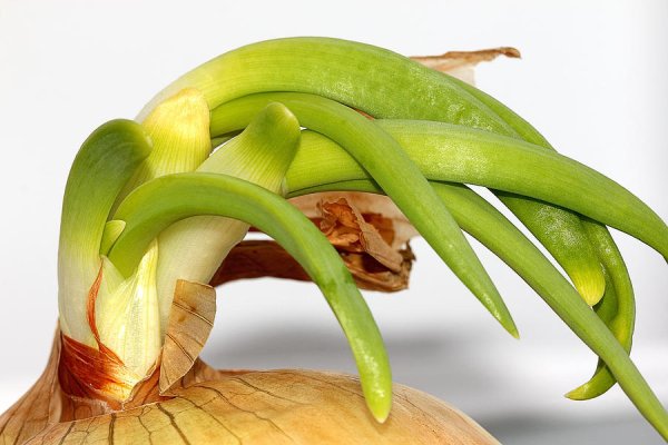 Кракен маркетплейс телеграм