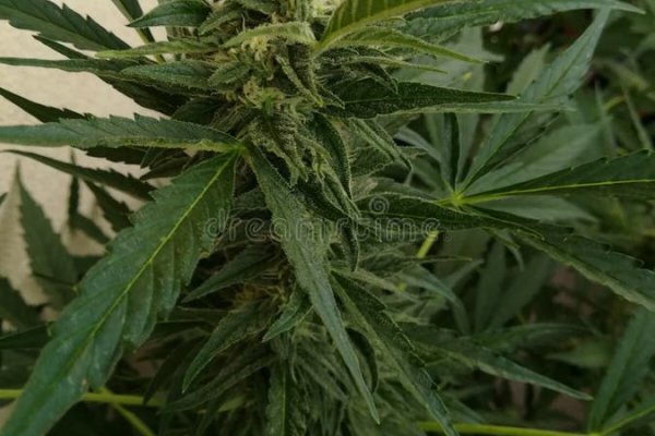 Кракен маркетплейс вход