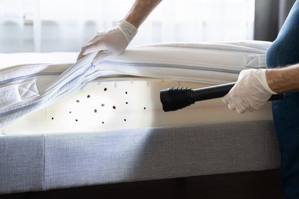 Кракен драг